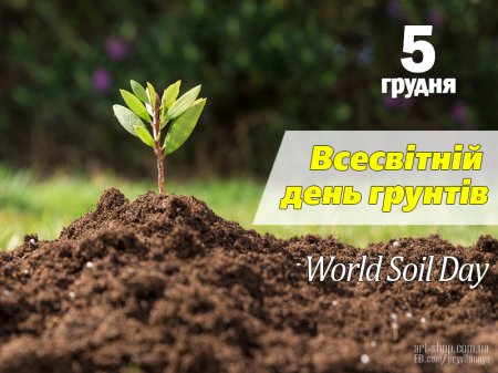 5 грудня - Всесвітній день ґрунтів