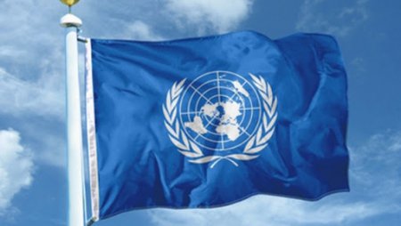 24 жовтня - Міжнародний день ООН