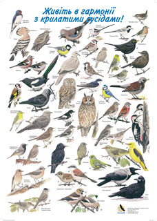 Запрошуємо до участі учнів 9-их класів до участі в територіальному етапі