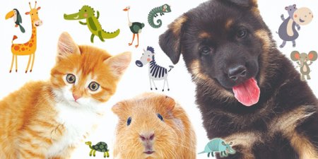 30 листопада - День домашніх тварин